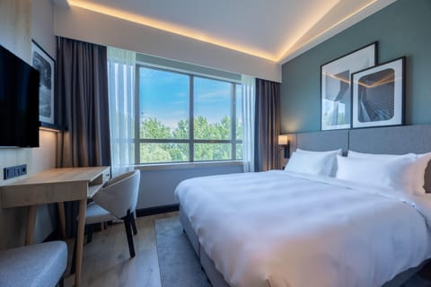 Standard Room | Minibar, soundproofing, iron/ironing board, cribs (surcharge)