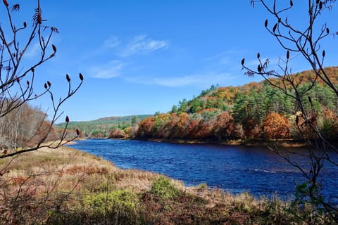 Fall views on the river