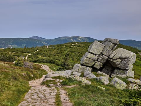 Mountainous Landforms, Mountain, Vegetation, Hill, Grassland, Highland, Wilderness, Terrain, Ecoregion, Landscape