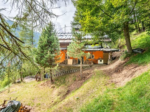 Tree, Rural Area, Cottage, Forest, Larch, Hill Station, Slope, Village, Woodland, Log Cabin