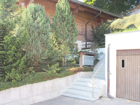 Shrub, Garden, Stairs, Evergreen, Landscaping, Larch, Pine Family