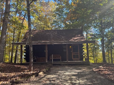 Cabin 1