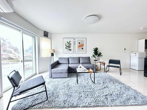 beautiful Living room with 1 double sofa bed !