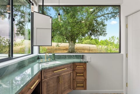 Our green with envy bathroom and its amazing view of the beautiful trees!