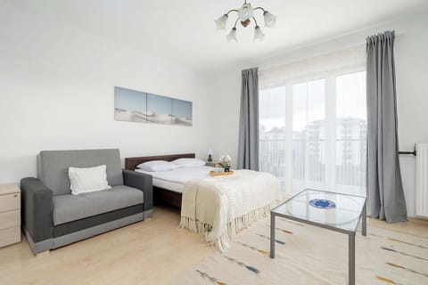 The living area features a sleek coffee table and a flat-screen television.