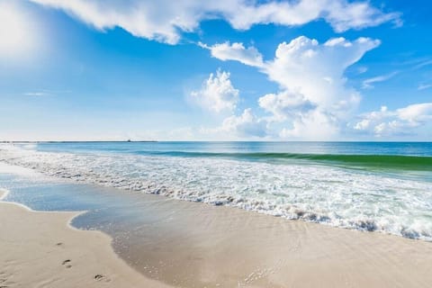 Condo, Multiple Beds (Phoenix East 101) | Beach | On the beach