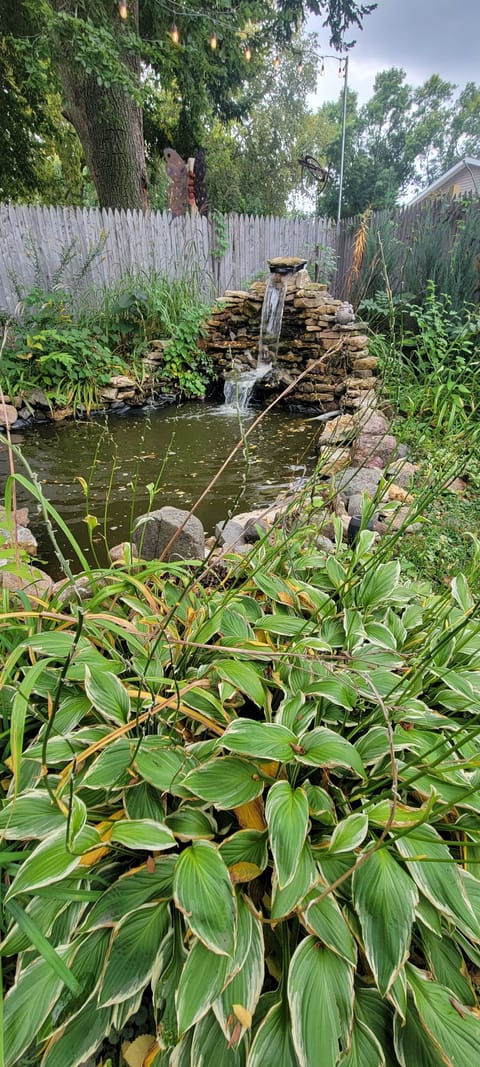 Water feature/pond