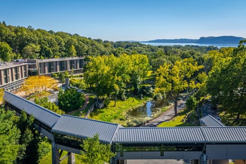 Framed by vibrant trees and a peaceful stream, this idyllic corner of Windrose features interconnected pathways, inviting guests to explore the resort's natural beauty.