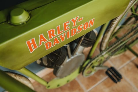 Casa Allegranza V6 Harley (4721)