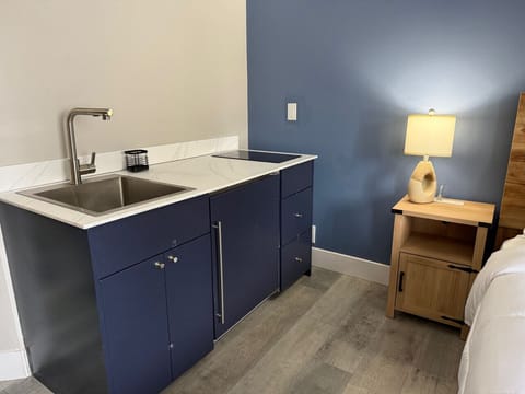 Sleek kitchenette offering a deep sink and induction cooktop.
