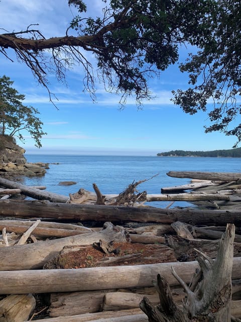 Two minute walk from cottage to beach. Enjoy a beach fire (if no fire ban). 