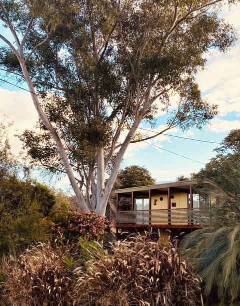 Beach House