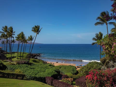 CORALTREE RESIDENCE COLLECTION presents... Makena Surf A204