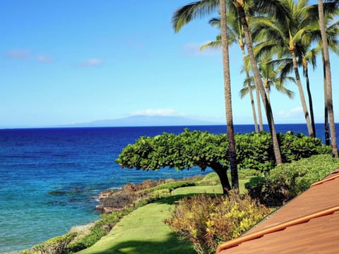 Tucked into one of the most private and quiet corners of the 32-acre botanical estate, this retreat provides elevated panoramic views of the Pacific—perfect for seasonal whale watching.