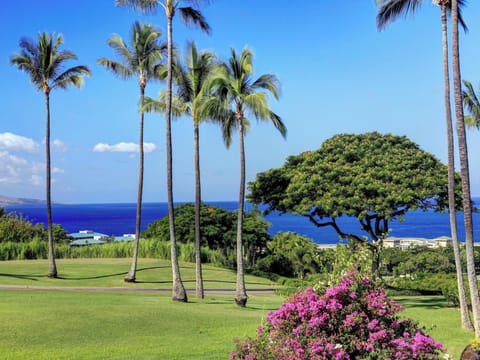 CORALTREE RESIDENCE COLLECTION presents... Wailea Ekolu Village 1203