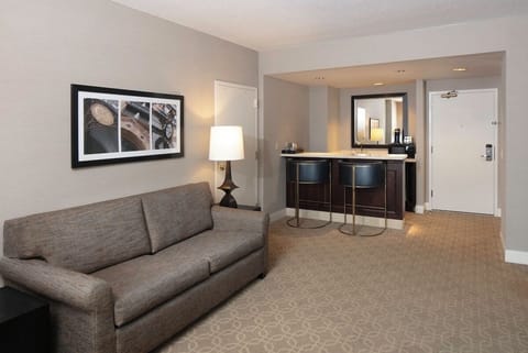 Standard Suite | Living area