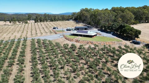 The Olive Leaf Retreat