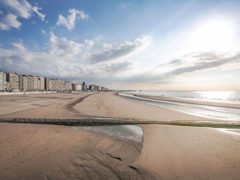 Daytime, Horizon, Coast, Beach, Shore, Sand, Landscape, Coastal And Oceanic Landforms, Sea