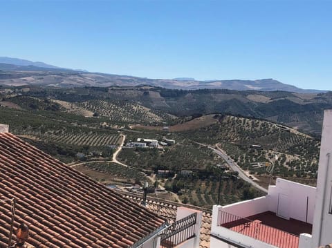 Endless olive groves from south facing terrace