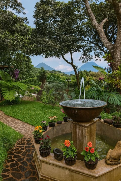 Garden view