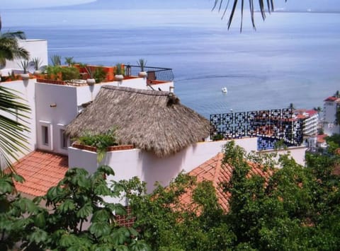 Private sunroof level and the thatched palapa and dipping pool facing the Bay.