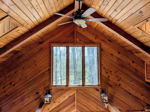 View above of vaulted ceiling and forest above the living room