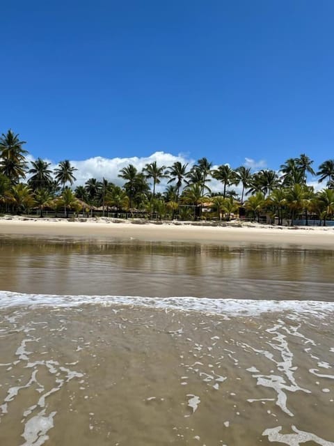 On the beach, white sand, beach bar