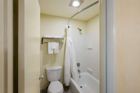 Combined shower/tub, free toiletries, hair dryer, towels