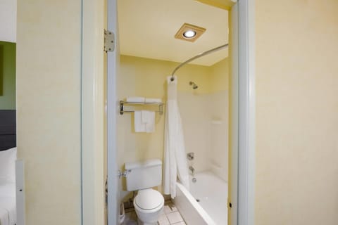 Standard Room, 1 King Bed, Non Smoking | Desk, blackout drapes, iron/ironing board, free WiFi