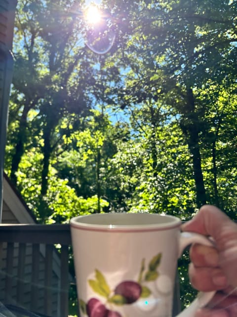 Brilliant Morning!