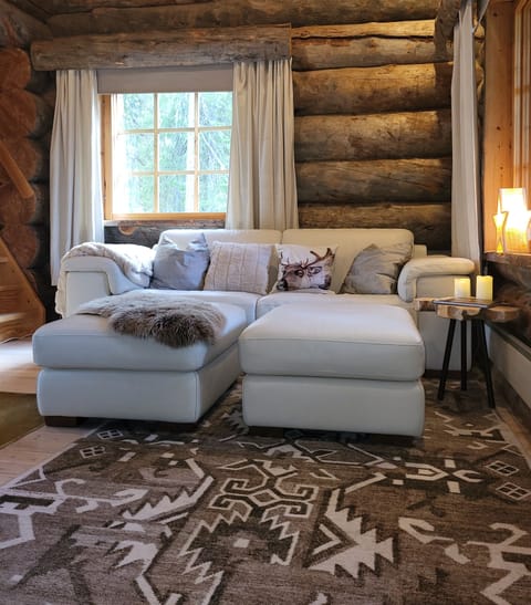 Living room with TV, fireplace, leather sofa