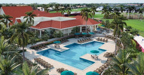all new resort style pool, restaurant and bar 