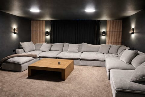 Theater | 100" Screen