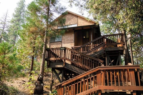 Welcome to Tallwood Cabin! We believe in unbeatable amenities and service.