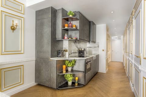 Apartment, City View | Private kitchen | Fridge, microwave, oven, stovetop