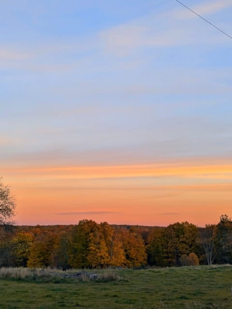 Morning new from lodge East