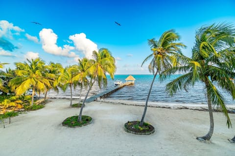 Oceanfront grounds at La Mansion Belize, featuring a private sandy beach, swaying palms, and a private pier extending into turquoise Caribbean waters.