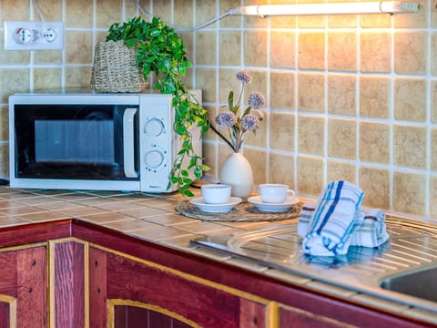 Kitchen Appliance, Kitchen, Major Appliance, Countertop, Small Appliance, Home Appliance, Interior Design, Room, Cabinetry, Tile