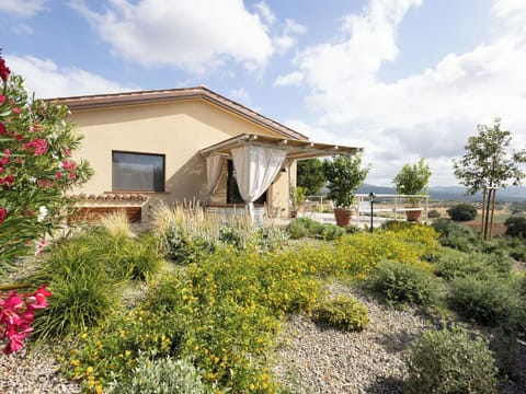 Shrub, Plant Community, Garden, Land Lot, Groundcover, Landscaping, Herbaceous Plant, Shrubland, Backyard