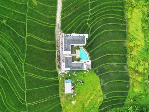 Discover tranquility at Villa Luwa’s outdoor oasis—refresh in the pool, lounge under the sun, and enjoy an outdoor shower that lets you soak up Bali’s natural beauty. #Villa Luwa