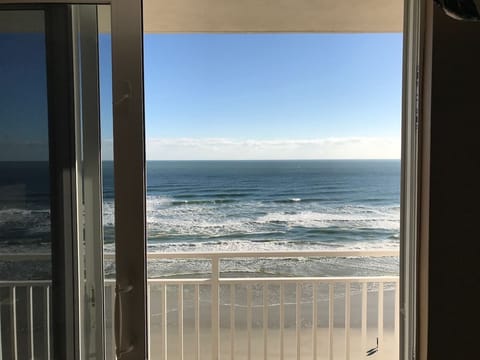 View from the living room sliding door. 