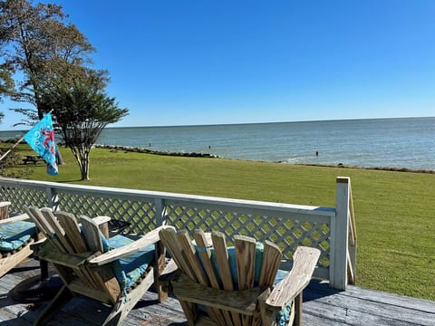 WHERE you Bay Watch!