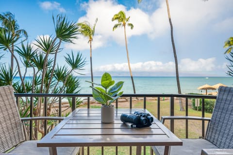 Spot Humpback Whales from your front row seats (seasonal) and the neighboring island of Moloka'i