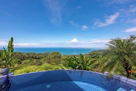 Infinity edge pool overlooking the ocean
