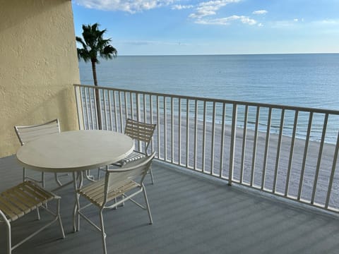 ATRIUM VIEWS OF THE GULF WATCH DOLPHINS AND SUNSETS BEAUTIFUL