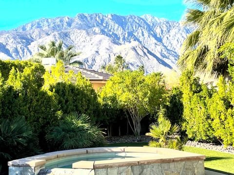 View of San Jacinto mountain from house and yard