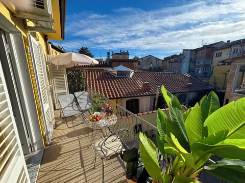 Neighbourhood, Home, Apartment, Balcony, Flowerpot, Houseplant