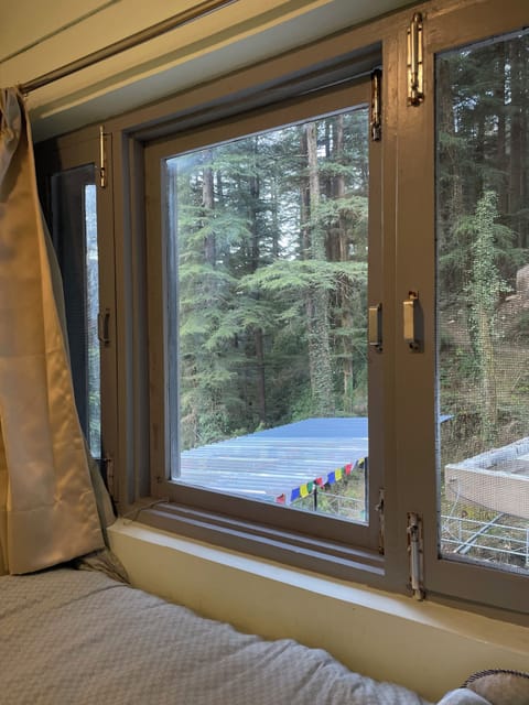 Economy Twin Room, Park View | Free WiFi