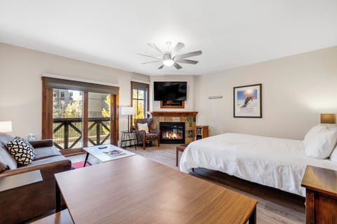 Living Area with Fireplace