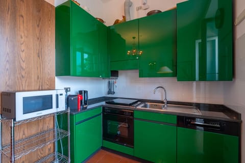 Apartment, 2 Bedrooms, Lake View | Private kitchen | Fridge, microwave, oven, stovetop